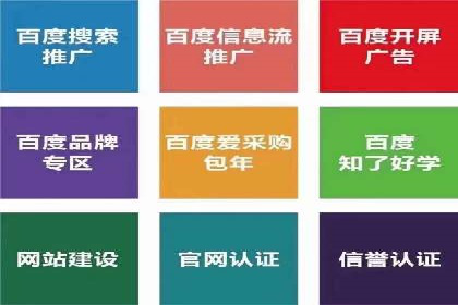 SEM服务助力企业快速增长案例